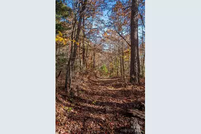 Tbd Old Toxaway Road, Brevard, NC 28712 - Photo 15
