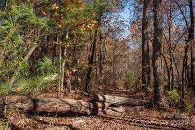 Tbd Old Toxaway Road, Brevard, NC 28712 - Photo 11