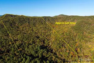 Tbd Old Toxaway Rd, Brevard, NC 28712 - Photo 1