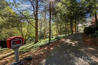 35 Towhee Lane, Saluda, NC 28773 - Photo 43