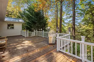 35 Towhee Ln, Saluda, NC 28773 - Photo 19