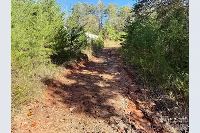 229 Kelsey Lane, Rutherfordton, NC 28139 - Photo 5