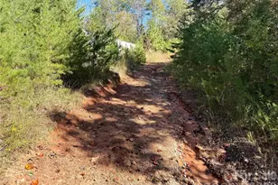 229 Kelsey Ln, Rutherfordton, NC 28139 - Photo 5