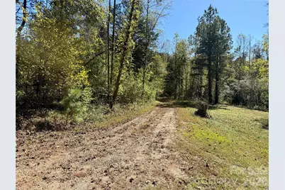 229 Kelsey Lane, Rutherfordton, NC 28139 - Photo 25