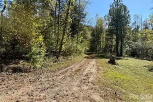 229 Kelsey Ln, Rutherfordton, NC 28139 - Photo 25