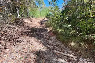 229 Kelsey Ln, Rutherfordton, NC 28139 - Photo 27