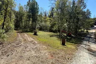 229 Kelsey Ln, Rutherfordton, NC 28139 - Photo 7