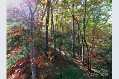 2002 Song Breeze Trail, Arden, NC 28704 - Photo 9