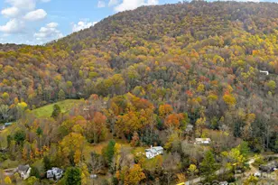 6 Star Berry Ln, Fairview, NC 28730 - Photo 33