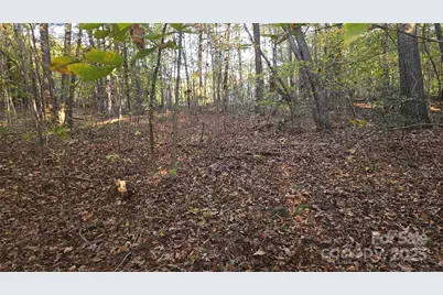 663 Landrum Road, Columbus, NC 28722 - Photo 29