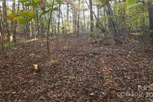 663 Landrum Rd, Columbus, NC 28722 - Photo 29