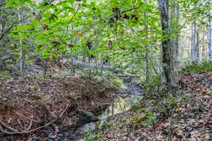 663 Landrum Rd, Columbus, NC 28722 - Photo 25