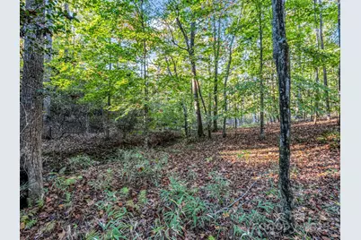 663 Landrum Road, Columbus, NC 28722 - Photo 27