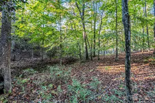 663 Landrum Rd, Columbus, NC 28722 - Photo 27