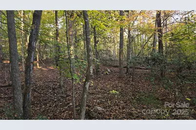 663 Landrum Road, Columbus, NC 28722 - Photo 35