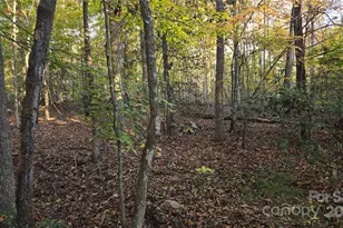 663 Landrum Rd, Columbus, NC 28722 - Photo 35