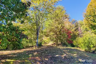 7 and 11 Dalph Dr, Weaverville, NC 28787 - Photo 19