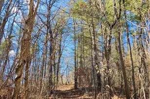 7 and 11 Dalph Dr, Weaverville, NC 28787 - Photo 21