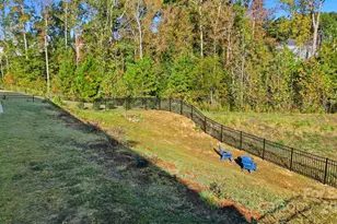 6858 Hunts Mesa Dr, Fort Mill, SC 29707 - Photo 43