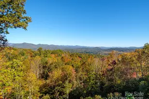 212 Jayhawk Ln, Brevard, NC 28712 - Photo 29