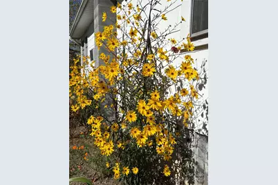 1600 Orchard Road, Flat Rock, NC 28731 - Photo 31