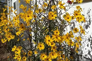 1600 Orchard Rd, Flat Rock, NC 28731 - Photo 31