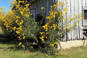 1600 Orchard Rd, Flat Rock, NC 28731 - Photo 33