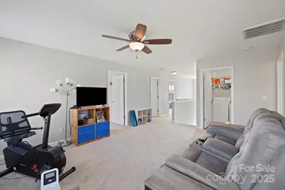 258 Lumber River Road, Fletcher, NC 28732 - Photo 29