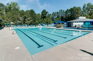 19310 River Falls Dr, Davidson, NC 28036 - Photo 11