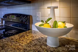 4314 Ivanhoe Pl, Charlotte, NC 28205 - Photo 9