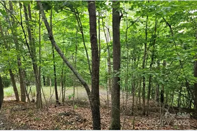 Lot 3 Mountain View Road, Burnsville, NC 28714 - Photo 5