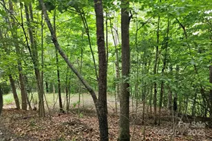 Lot 3 Mountain View Rd, Burnsville, NC 28714 - Photo 5