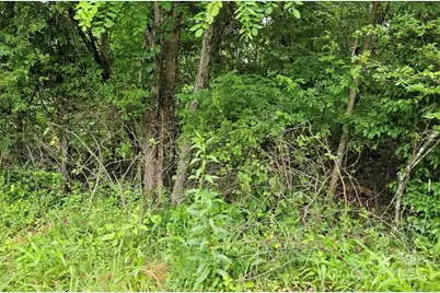 Lot 3 Mountain View Road, Burnsville, NC 28714 - Photo 11