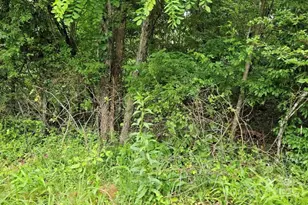 Lot 3 Mountain View Rd, Burnsville, NC 28714 - Photo 11