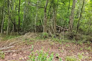 Lot 3 Mountain View Rd, Burnsville, NC 28714 - Photo 13