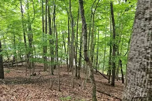 Lot 3 Mountain View Rd, Burnsville, NC 28714 - Photo 3