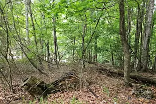 Lot 3 Mountain View Rd, Burnsville, NC 28714 - Photo 9