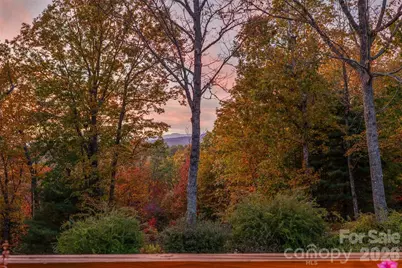 325, 141 & 75 Owl Haven Lane, Cedar Mountain, NC 28718 - Photo 35