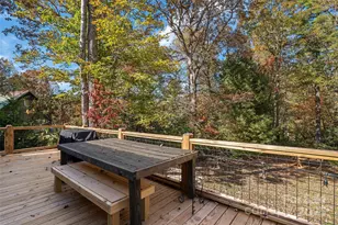 325 141 & 75 Owl Haven Ln, Cedar Mountain, NC 28718 - Photo 47