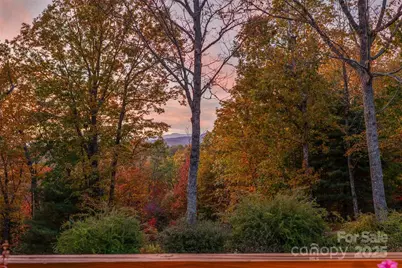 325, 141 & 75 Owl Haven Lane, Cedar Mountain, NC 28718 - Photo 35