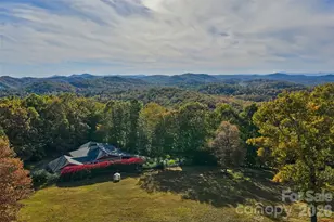 325 141 & 75 Owl Haven Ln, Cedar Mountain, NC 28718 - Photo 23