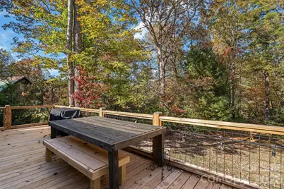 325, 141 & 75 Owl Haven Lane, Cedar Mountain, NC 28718 - Photo 47