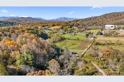 220 Mountain Springs Lane, Canton, NC 28716 - Photo 9