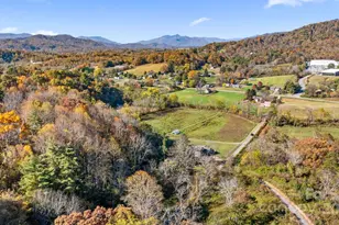 220 Mountain Springs Ln, Canton, NC 28716 - Photo 9