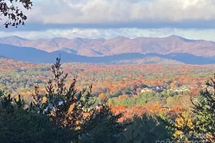 60 Park Ave St, Asheville, NC 28803 - Photo 5