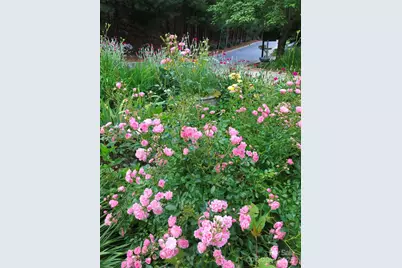 60 Park Avenue Street #60, Asheville, NC 28803 - Photo 7