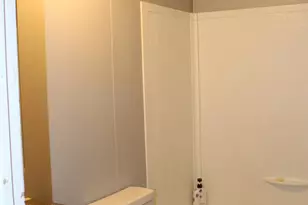 260 Buck Br Rd, Mill Spring, NC 28756 - Photo 29