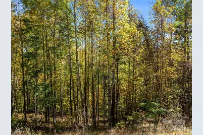 Lots 61 and  62 Wildwood Drive, Burnsville, NC 28714 - Photo 15