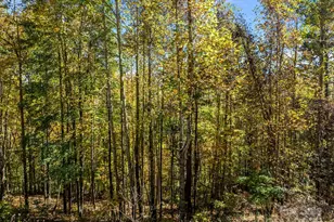 Lots 61 and 62 Wildwood Dr, Burnsville, NC 28714 - Photo 15