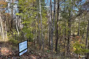 Lots 61 and 62 Wildwood Dr, Burnsville, NC 28714 - Photo 25